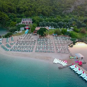 Otel S3 Seahorse Club